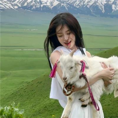 我的修真靠抽卡第二季
